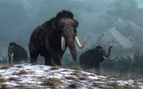 woolly mammoth carbon dating